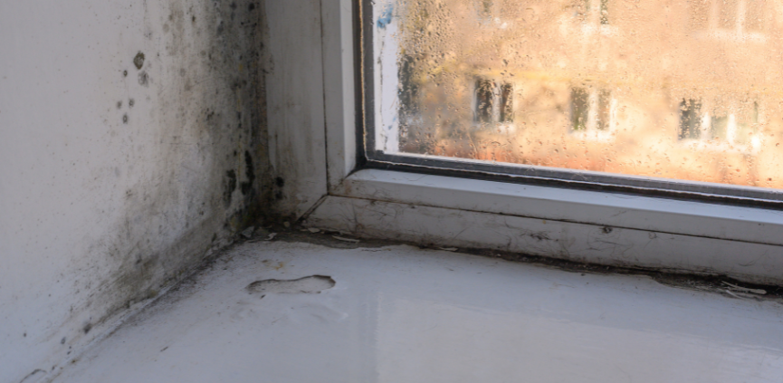 soluciones para eliminar humedad en casa